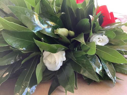 Corone alloro laurea